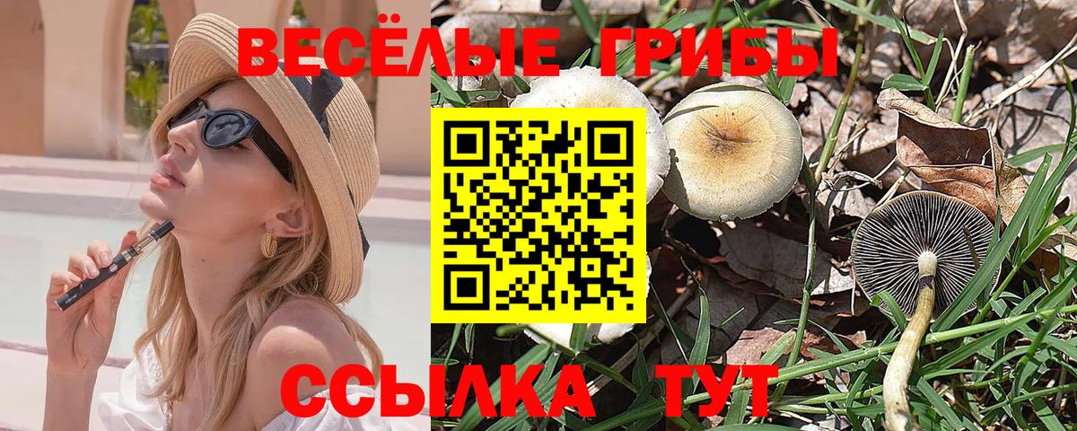Добрянка  Галлюциногенные грибы MAGIC MUSHROOMS  Вход с VPN 