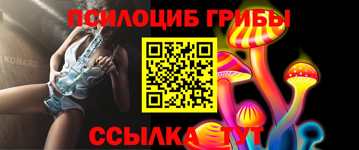 Псилоцибиновые грибы мицелий Добрянка